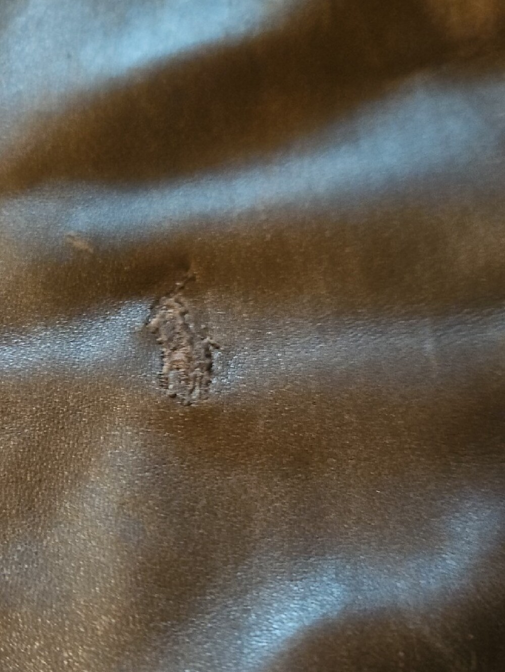 POLO Classic Brown Leather Zip Jacket - Unknown Brand - Picture 5 of 13